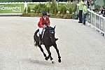 WEG-EventingSJ-8-31-14-0002149-KimberlySeverson-FernhillFearless-USA-DDeRosaPhoto