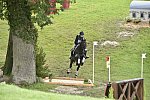 WEG1-Eventing-8-30-14-0008832-KimberlySeverson-FernhillFearless-USA-DDeRosaPhoto