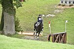 WEG1-Eventing-8-30-14-0008834-KimberlySeverson-FernhillFearless-USA-DDeRosaPhoto