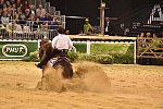 WEG-Reining-8-30-14-0000808-AndreaFappani-CustomCashAdvance-USA-DDeRosaPhoto