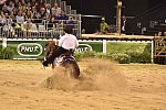 WEG-Reining-8-30-14-0000809-AndreaFappani-CustomCashAdvance-USA-DDeRosaPhoto