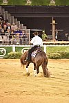 WEG-Reining-8-30-14-0000811-AndreaFappani-CustomCashAdvance-USA-DDeRosaPhoto