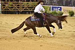 WEG-Reining-8-30-14-0000818-AndreaFappani-CustomCashAdvance-USA-DDeRosaPhoto