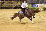 WEG-Reining-8-30-14-0000819-AndreaFappani-CustomCashAdvance-USA-DDeRosaPhoto