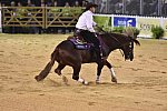 WEG-Reining-8-30-14-0000821-AndreaFappani-CustomCashAdvance-USA-DDeRosaPhoto