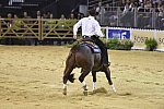 WEG-Reining-8-30-14-0000827-AndreaFappani-CustomCashAdvance-USA-DDeRosaPhoto