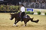 WEG-Reining-8-30-14-0000832-AndreaFappani-CustomCashAdvance-USA-DDeRosaPhoto