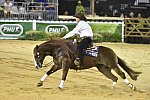 WEG-Reining-8-30-14-0000849-AndreaFappani-CustomCashAdvance-USA-DDeRosaPhoto