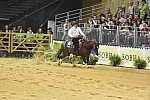 WEG-Reining-8-30-14-0000850-AndreaFappani-CustomCashAdvance-USA-DDeRosaPhoto