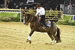 WEG-Reining-8-30-14-0000853-AndreaFappani-CustomCashAdvance-USA-DDeRosaPhoto