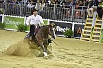 WEG-Reining-8-30-14-0000874-AndreaFappani-CustomCashAdvance-USA-DDeRosaPhoto