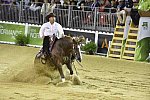 WEG-Reining-8-30-14-0000875-AndreaFappani-CustomCashAdvance-USA-DDeRosaPhoto