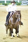 WEG-Reining-8-30-14-0000886-AndreaFappani-CustomCashAdvance-USA-DDeRosaPhoto