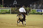 WEG-Reining-8-30-14-0000518-JordanLarson-HFMobster-USA-DDeRosaPhoto