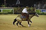 WEG-Reining-8-30-14-0000520-JordanLarson-HFMobster-USA-DDeRosaPhoto