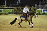 WEG-Reining-8-30-14-0000521-JordanLarson-HFMobster-USA-DDeRosaPhoto