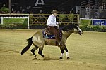 WEG-Reining-8-30-14-0000524-JordanLarson-HFMobster-USA-DDeRosaPhoto