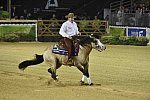 WEG-Reining-8-30-14-0000525-JordanLarson-HFMobster-USA-DDeRosaPhoto