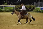 WEG-Reining-8-30-14-0000527-JordanLarson-HFMobster-USA-DDeRosaPhoto