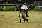 WEG-Reining-8-30-14-0000528-JordanLarson-HFMobster-USA-DDeRosaPhoto