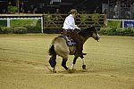 WEG-Reining-8-30-14-0000529-JordanLarson-HFMobster-USA-DDeRosaPhoto