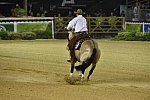 WEG-Reining-8-30-14-0000532-JordanLarson-HFMobster-USA-DDeRosaPhoto