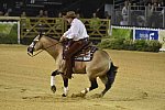 WEG-Reining-8-30-14-0000534-JordanLarson-HFMobster-USA-DDeRosaPhoto