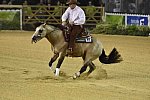 WEG-Reining-8-30-14-0000538-JordanLarson-HFMobster-USA-DDeRosaPhoto
