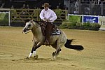 WEG-Reining-8-30-14-0000541-JordanLarson-HFMobster-USA-DDeRosaPhoto