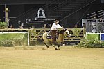 WEG-Reining-8-30-14-0000546-JordanLarson-HFMobster-USA-DDeRosaPhoto