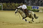 WEG-Reining-8-30-14-0000549-JordanLarson-HFMobster-USA-DDeRosaPhoto