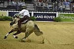 WEG-Reining-8-30-14-0000551-JordanLarson-HFMobster-USA-DDeRosaPhoto