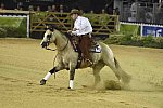 WEG-Reining-8-30-14-0000552-JordanLarson-HFMobster-USA-DDeRosaPhoto