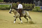 WEG-Reining-8-30-14-0000553-JordanLarson-HFMobster-USA-DDeRosaPhoto