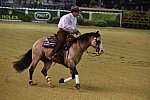 WEG-Reining-8-30-14-0000556-JordanLarson-HFMobster-USA-DDeRosaPhoto