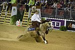 WEG-Reining-8-30-14-0000565-JordanLarson-HFMobster-USA-DDeRosaPhoto