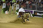 WEG-Reining-8-30-14-0000566-JordanLarson-HFMobster-USA-DDeRosaPhoto