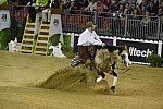 WEG-Reining-8-30-14-0000567-JordanLarson-HFMobster-USA-DDeRosaPhoto