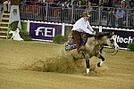 WEG-Reining-8-30-14-0000570-JordanLarson-HFMobster-USA-DDeRosaPhoto
