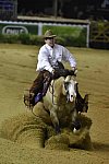 WEG-Reining-8-30-14-0000572-JordanLarson-HFMobster-USA-DDeRosaPhoto