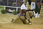 WEG-Reining-8-30-14-0000577-JordanLarson-HFMobster-USA-DDeRosaPhoto