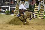 WEG-Reining-8-30-14-0000578-JordanLarson-HFMobster-USA-DDeRosaPhoto