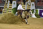 WEG-Reining-8-30-14-0000580-JordanLarson-HFMobster-USA-DDeRosaPhoto