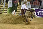 WEG-Reining-8-30-14-0000582-JordanLarson-HFMobster-USA-DDeRosaPhoto