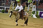 WEG-Reining-8-30-14-0000583-JordanLarson-HFMobster-USA-DDeRosaPhoto