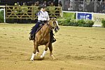 WEG-Reining-8-30-14-0000669-MandyMcCutcheon-YellowJersey-USA-DDeRosaPhoto