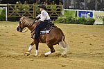 WEG-Reining-8-30-14-0000670-MandyMcCutcheon-YellowJersey-USA-DDeRosaPhoto