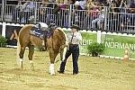 WEG-Reining-8-30-14-0000729-MandyMcCutcheon-YellowJersey-USA-DDeRosaPhoto