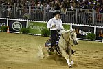 WEG-Reining-8-30-14-0000490-TomMcCutcheon-DunGetANicadual-USA-DDeRosaPhoto