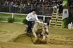 WEG-Reining-8-30-14-0000492-TomMcCutcheon-DunGetANicadual-USA-DDeRosaPhoto